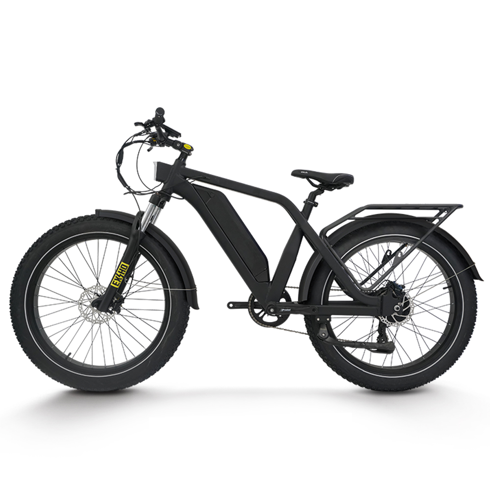 *forElectric Bike for Adults 1 - đánh giá và giá 48V 1500W Rear Hub Motor With Battery