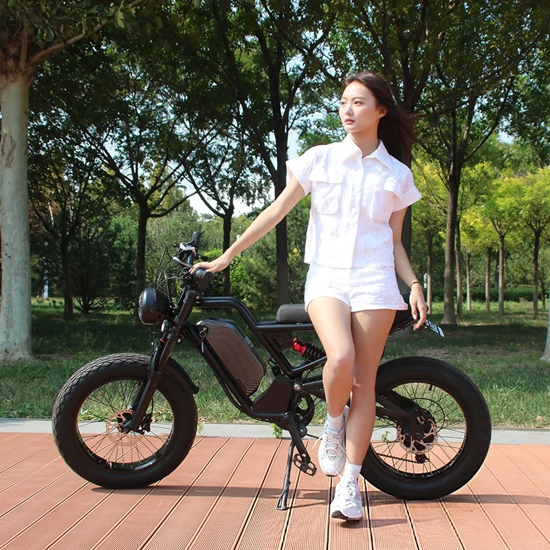 SXLL SXLL13Ah lithium battery  - đánh giá và giá 48V 1500W Rear Hub Motor With Battery