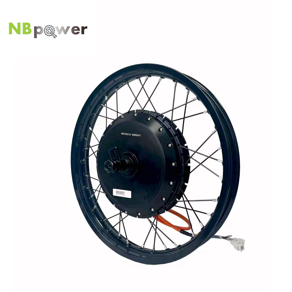 NBpower/170mm Dropout QS 273 4 - đánh giá và giá 72V 8000W Brushless Hub Motor
